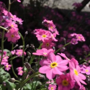 Meet your Posher, Eva